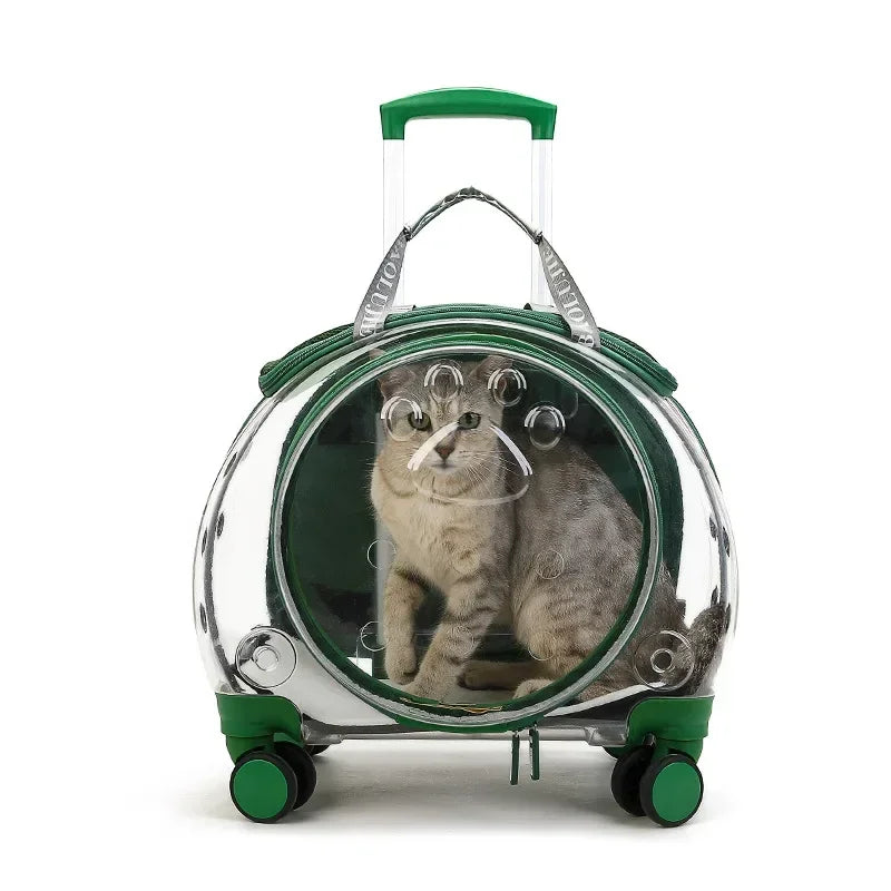 Sac à bulles transparent pour animal de Compagnie - Chatcalineux.com