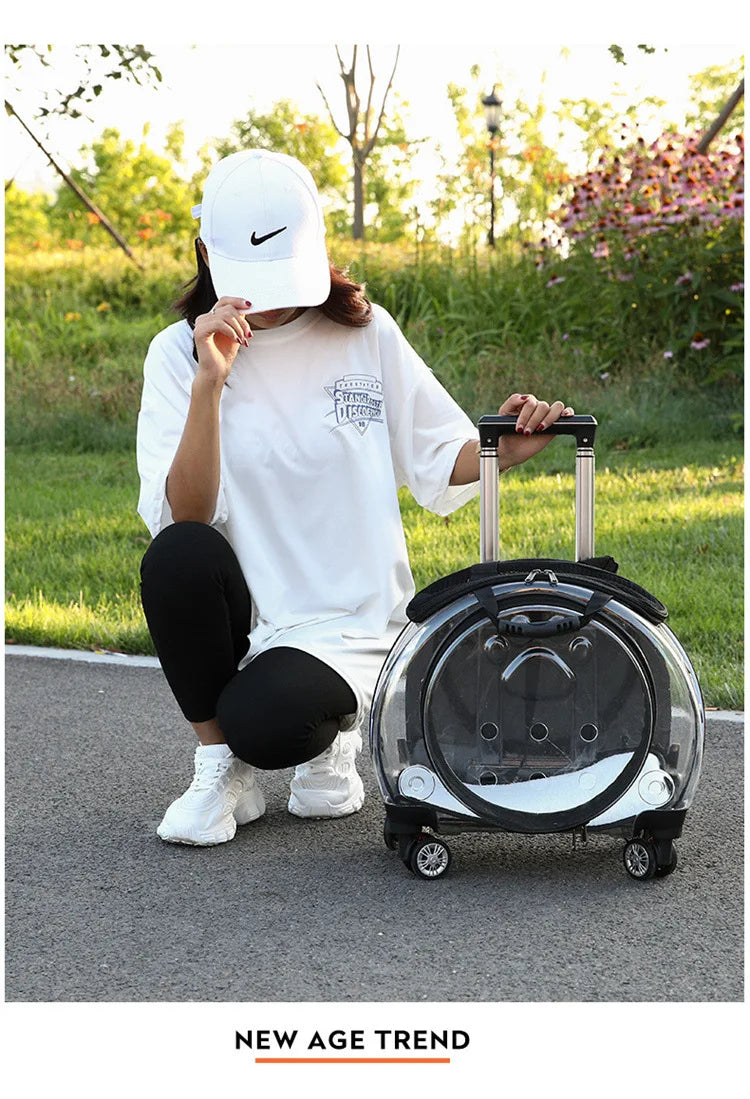 Pet cat out trolley case dog portable air case panoramic transparent breathable backpack bubble bag - Chatcalineux.com