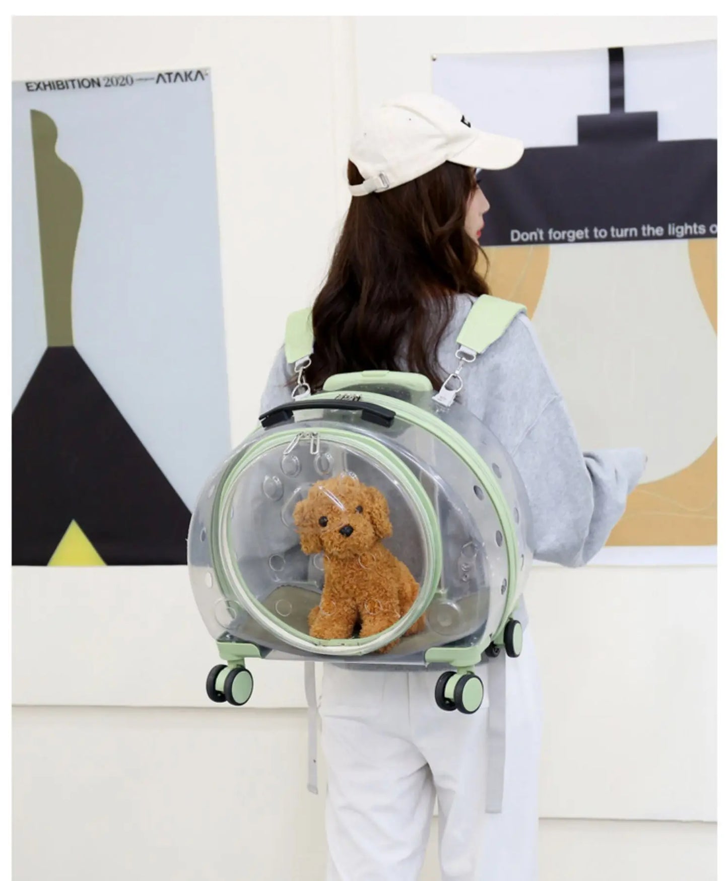 Pet cat out trolley case dog portable air case panoramic transparent breathable backpack bubble bag - Chatcalineux.com