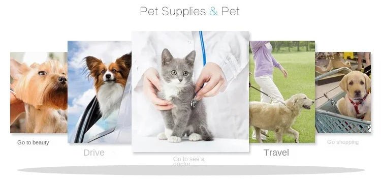 Cat Trolley Case Dog Travel Transport Bag Transparent Wide View Handbag Outing Portable Fashion Pet Backpack Bubble Box - Chatcalineux.com