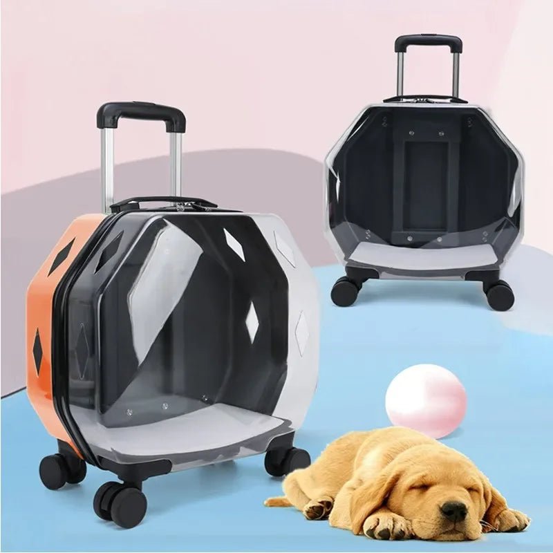 Cat Trolley Case Dog Travel Transport Bag Transparent Wide View Handbag Outing Portable Fashion Pet Backpack Bubble Box - Chatcalineux.com