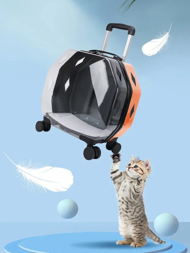 Cat Trolley Case Dog Travel Transport Bag Transparent Wide View Handbag Outing Portable Fashion Pet Backpack Bubble Box - Chatcalineux.com