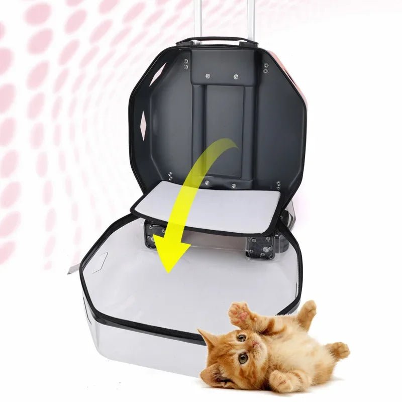 Cat Trolley Case Dog Travel Transport Bag Transparent Wide View Handbag Outing Portable Fashion Pet Backpack Bubble Box - Chatcalineux.com