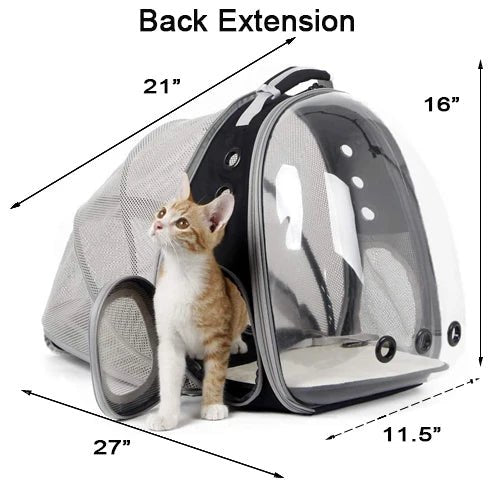 Hot Cheap Pet Carrier Backpack Bubble Space Capsule Transparent Plastic Cat Travel Bag With 4 Accessories Small Animals - Chatcalineux.com