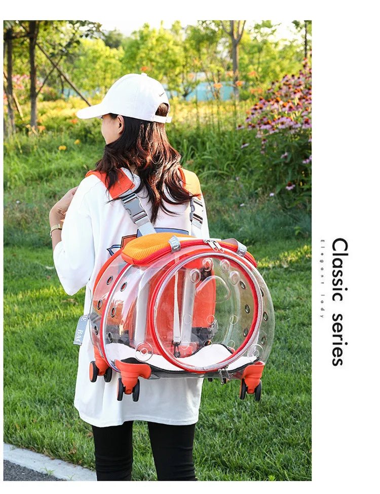 Pet cat out trolley case dog portable air case panoramic transparent breathable backpack bubble bag - Chatcalineux.com