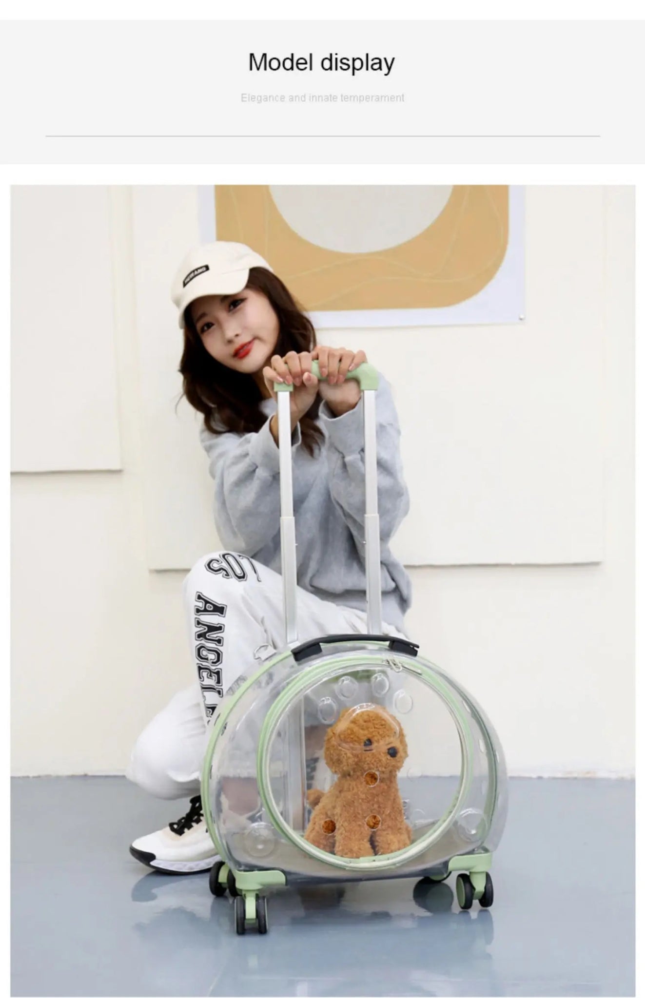 Pet cat out trolley case dog portable air case panoramic transparent breathable backpack bubble bag - Chatcalineux.com