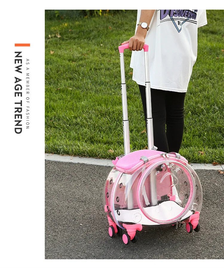 Pet cat out trolley case dog portable air case panoramic transparent breathable backpack bubble bag - Chatcalineux.com