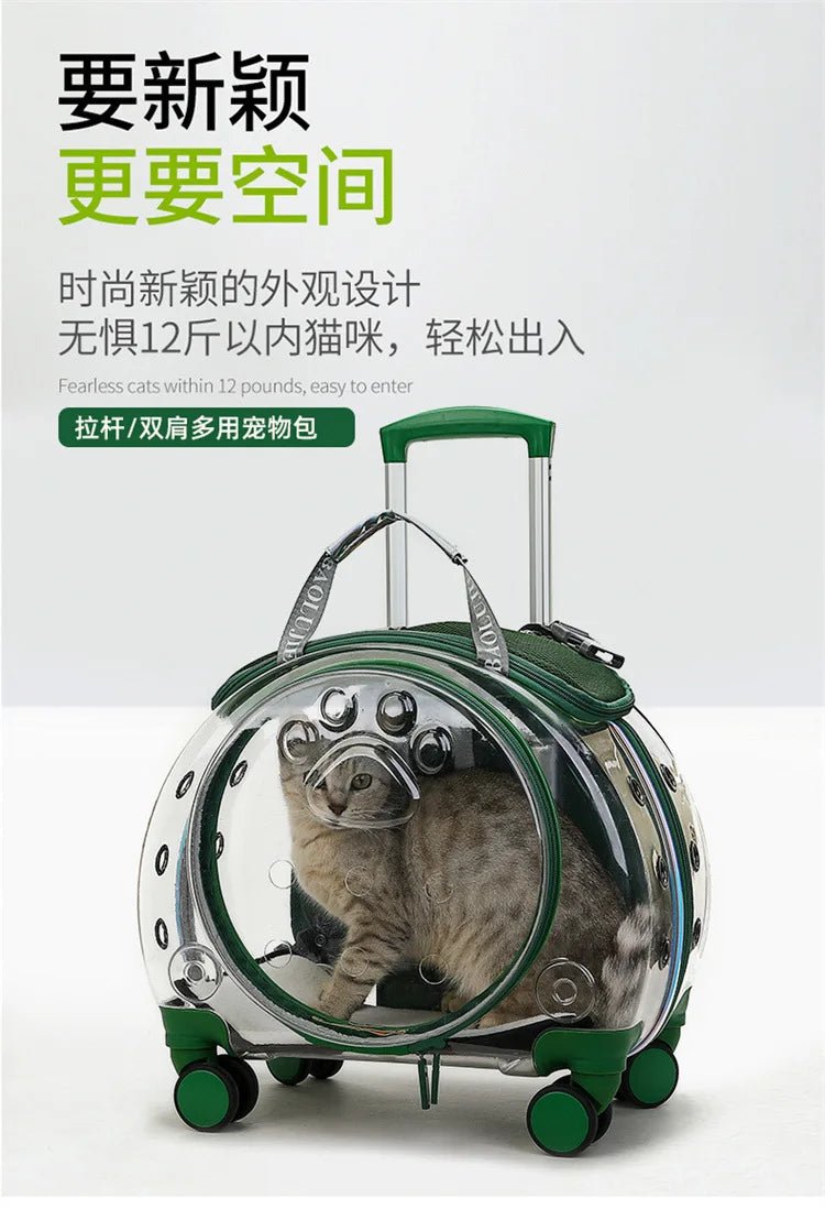 Pet cat out trolley case dog portable air case panoramic transparent breathable backpack bubble bag - Chatcalineux.com