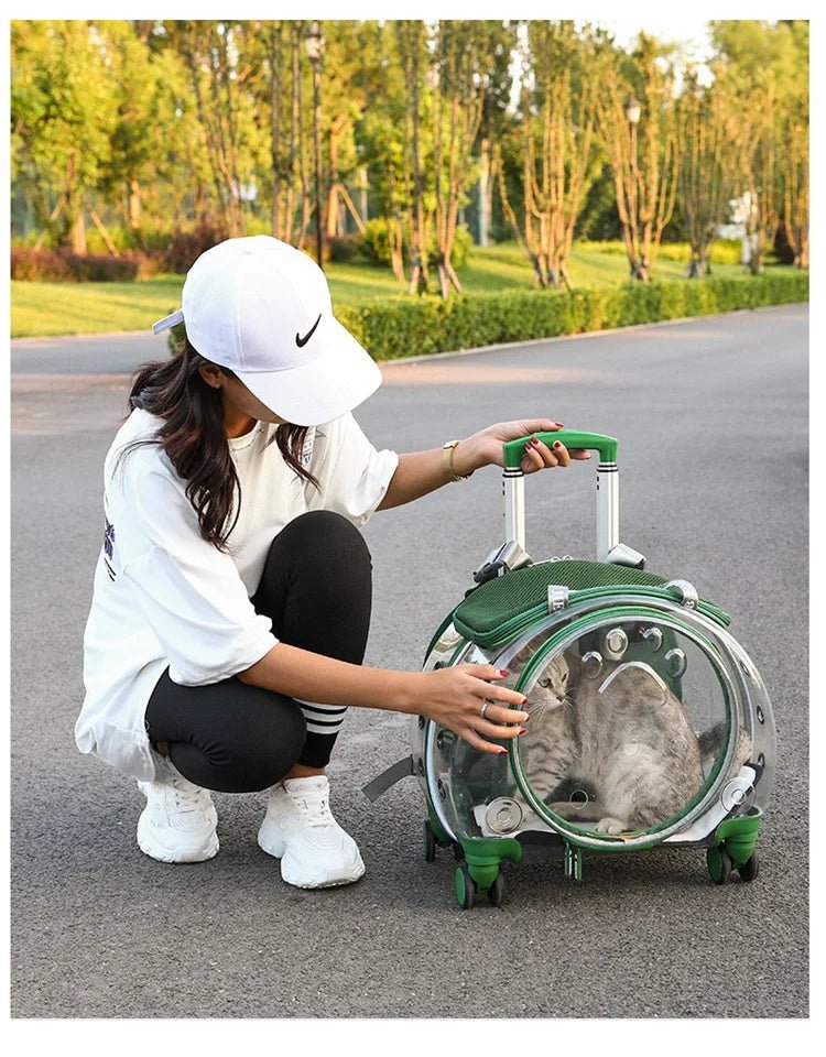 Pet cat out trolley case dog portable air case panoramic transparent breathable backpack bubble bag - Chatcalineux.com