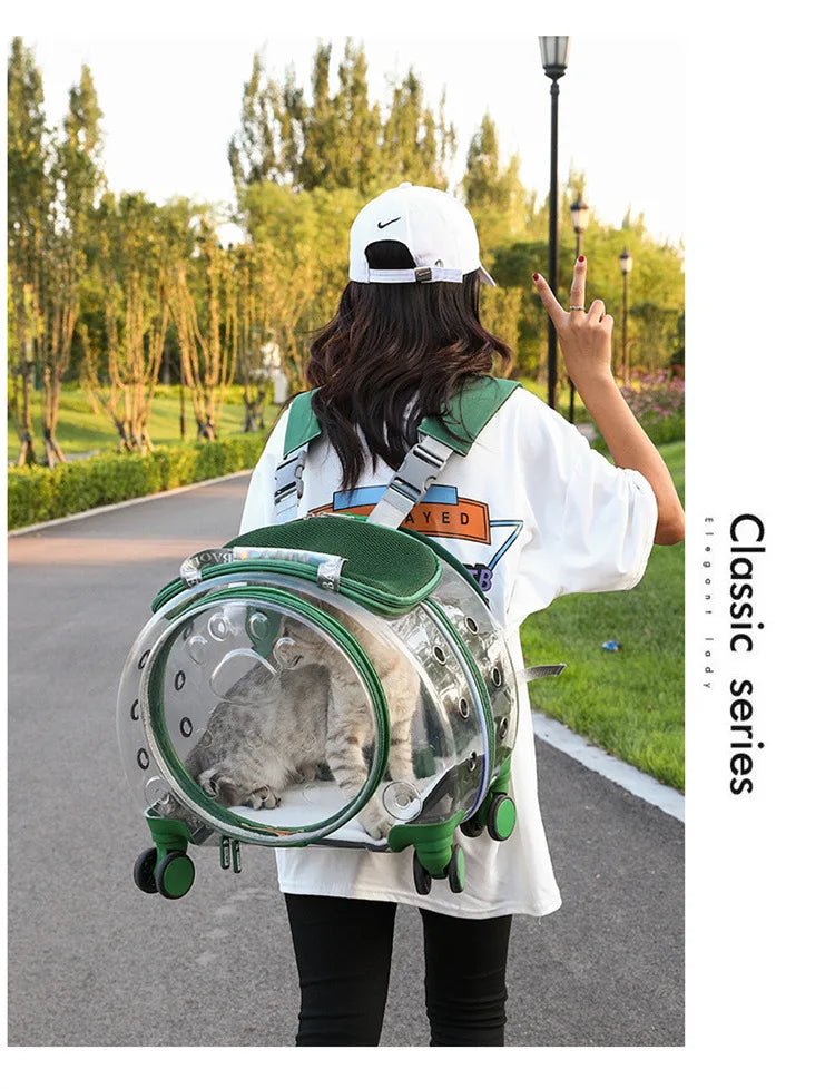 Pet cat out trolley case dog portable air case panoramic transparent breathable backpack bubble bag - Chatcalineux.com