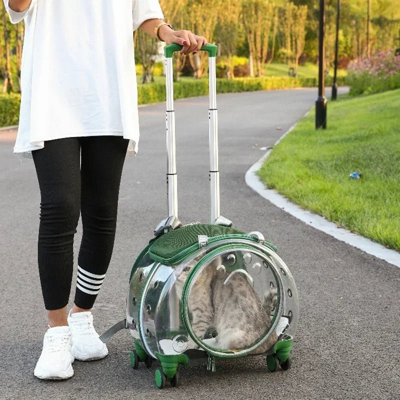 Pet cat out trolley case dog portable air case panoramic transparent breathable backpack bubble bag - Chatcalineux.com