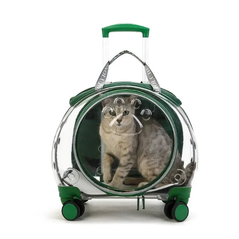 Pet cat out trolley case dog portable air case panoramic transparent breathable backpack bubble bag - Chatcalineux.com