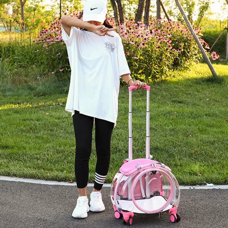 Pet cat out trolley case dog portable air case panoramic transparent breathable backpack bubble bag - Chatcalineux.com