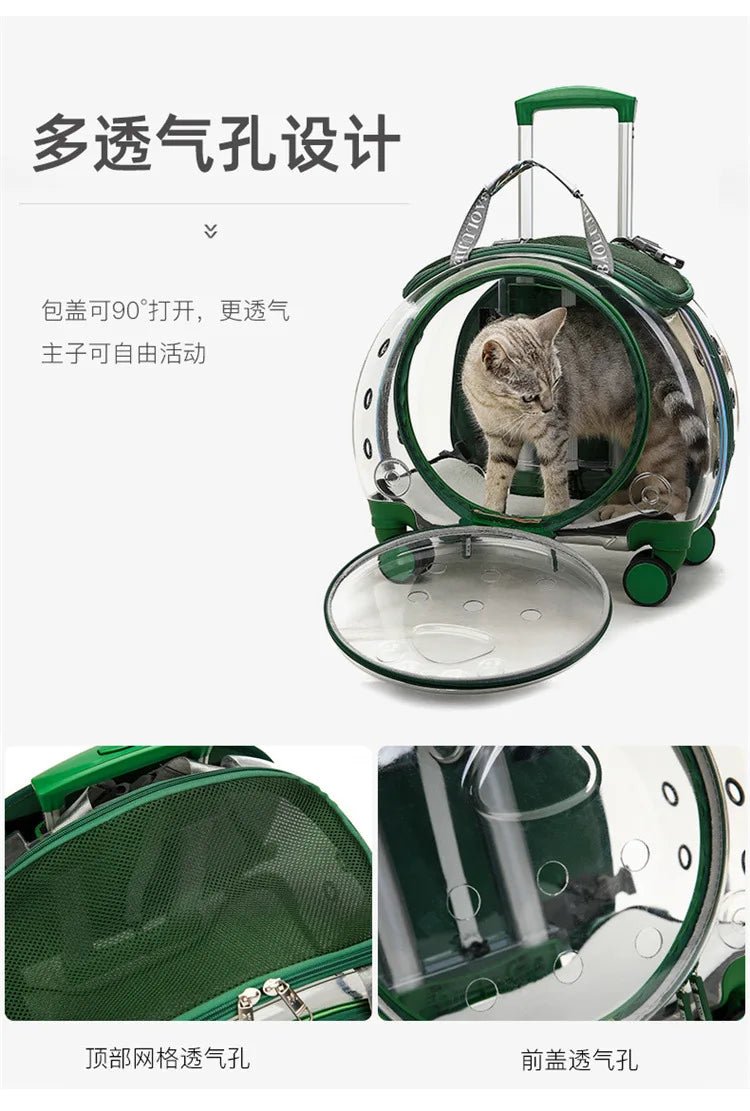 Sac à bulles transparent pour animal de Compagnie - Chatcalineux.com