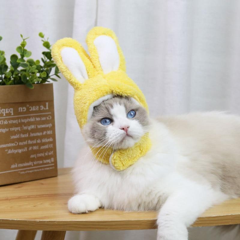 RabbitHat™ - Accessoire de déguisement pour chat - Chatcalineux.com